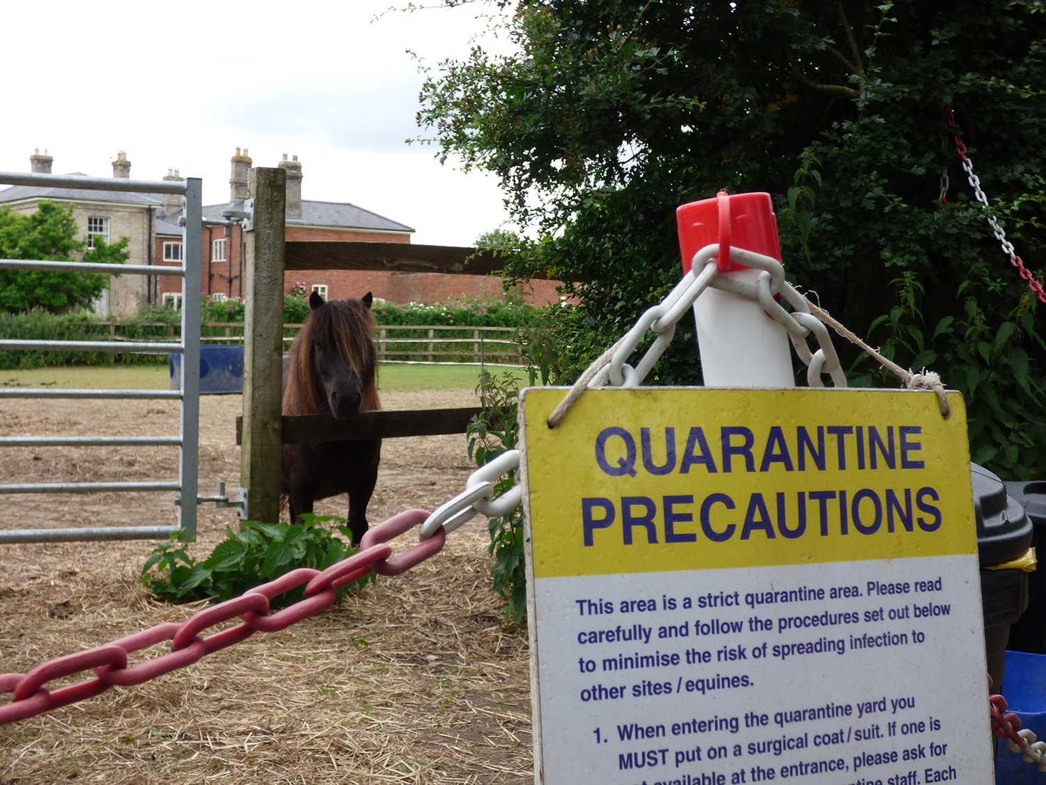 Norwich horse welfare charity site in quarantine after 'highly